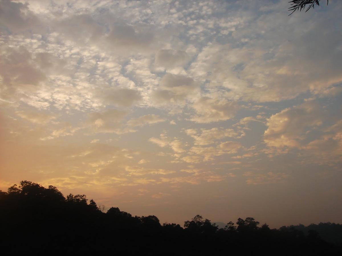 Wild Elephant Eco Friendly Resort Munnar Buitenkant foto