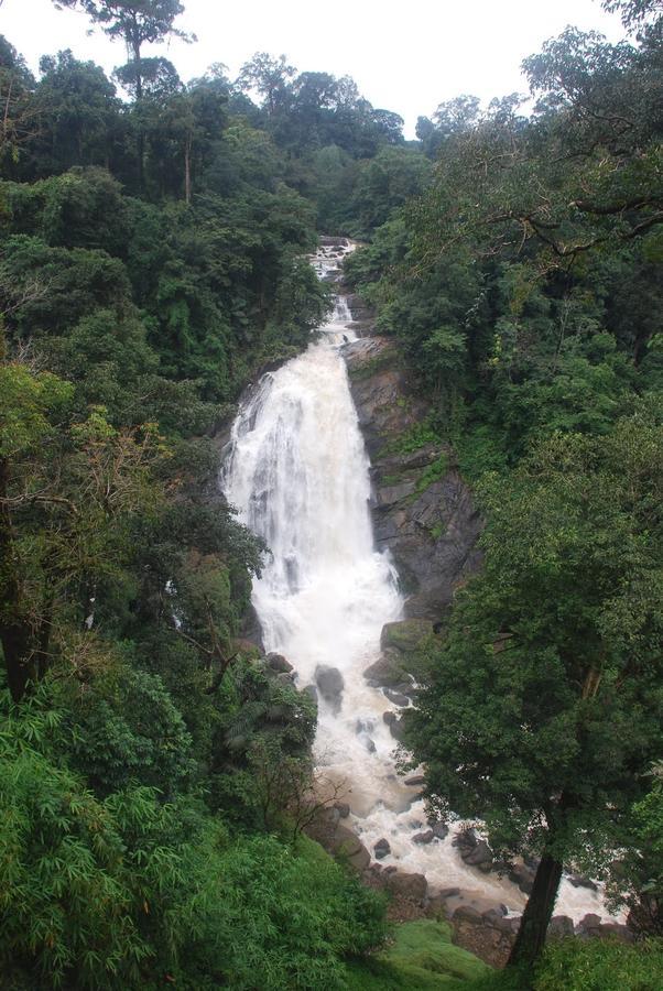 Wild Elephant Eco Friendly Resort Munnar Buitenkant foto