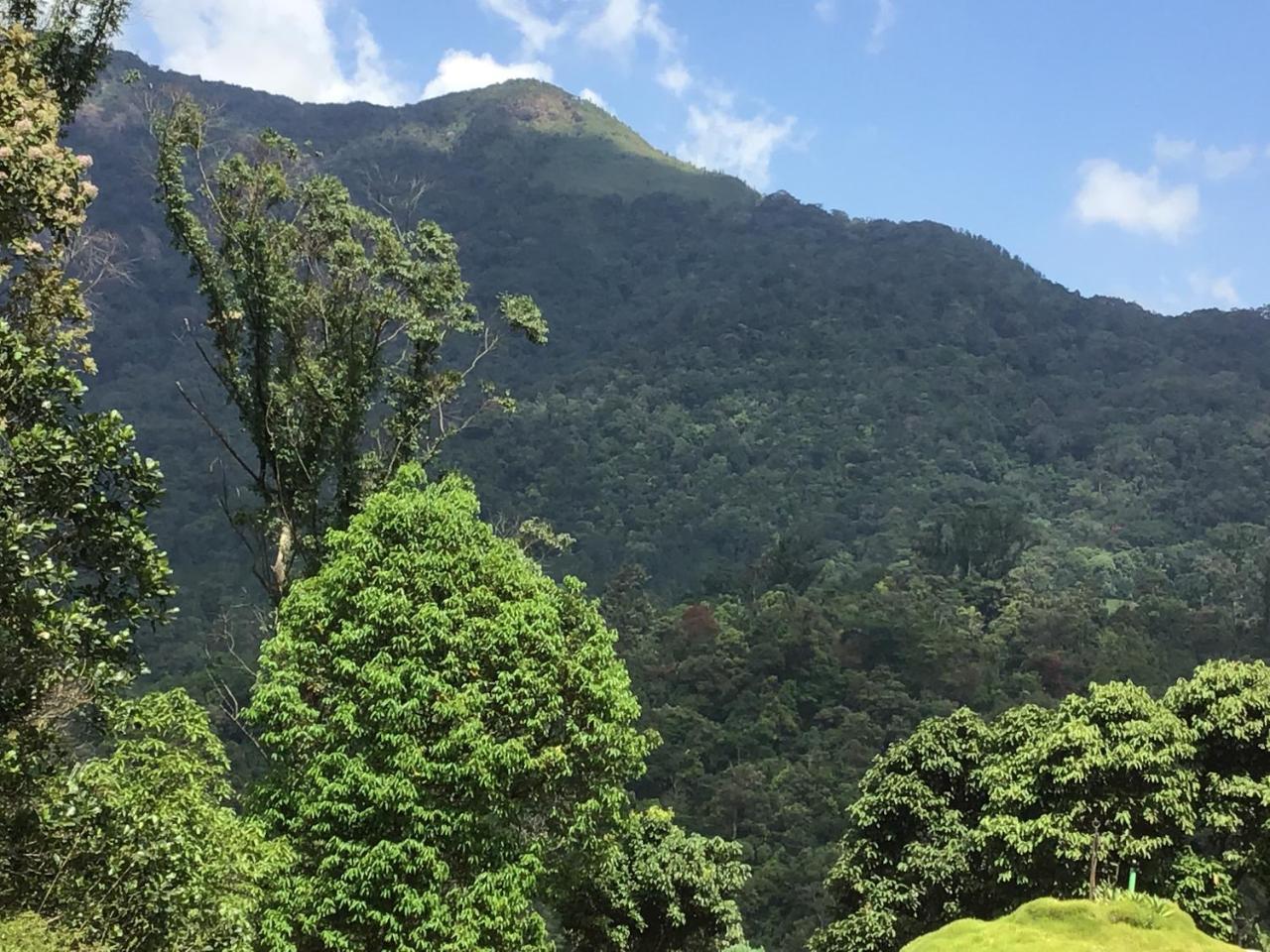 Wild Elephant Eco Friendly Resort Munnar Buitenkant foto
