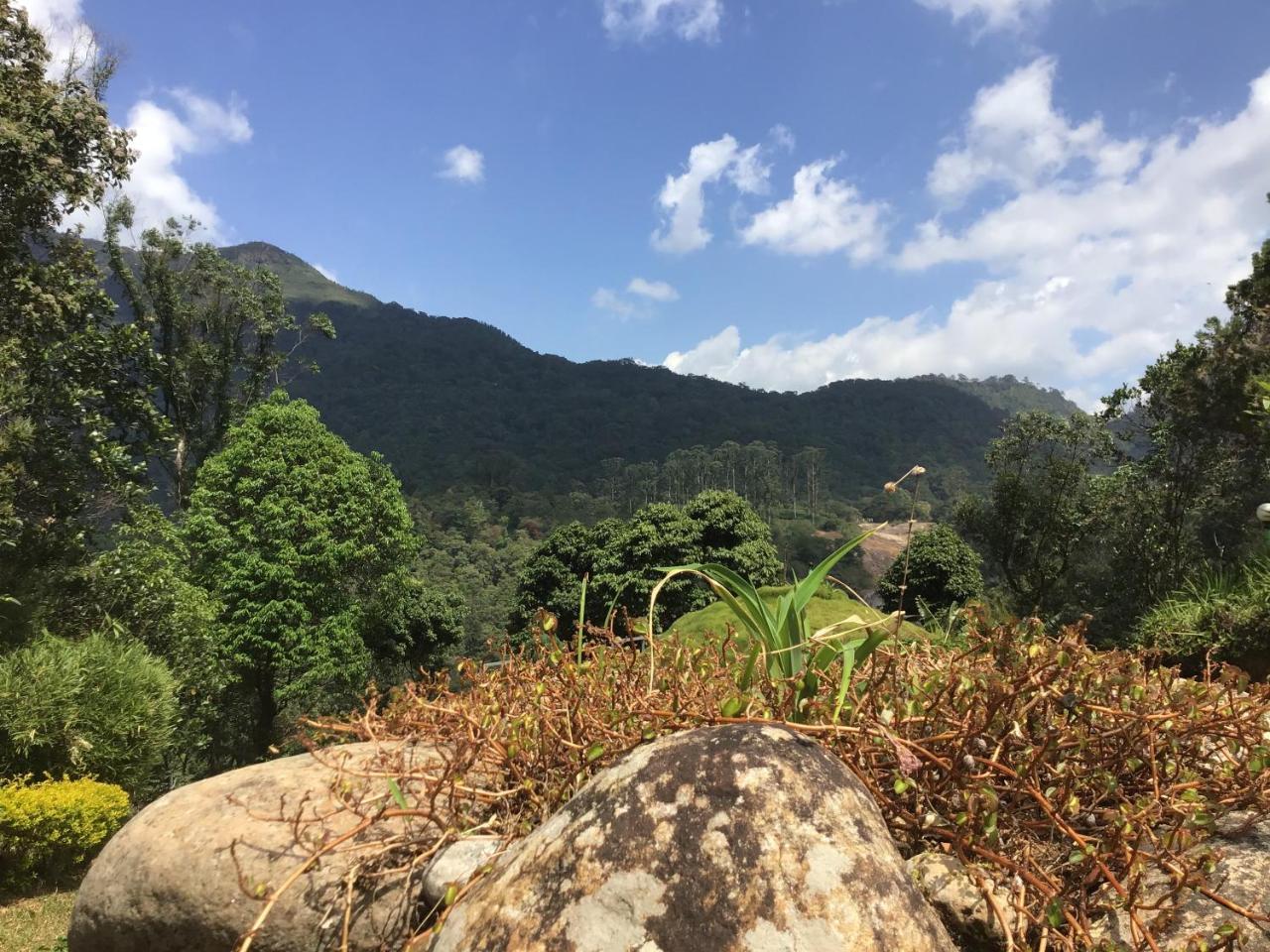 Wild Elephant Eco Friendly Resort Munnar Buitenkant foto
