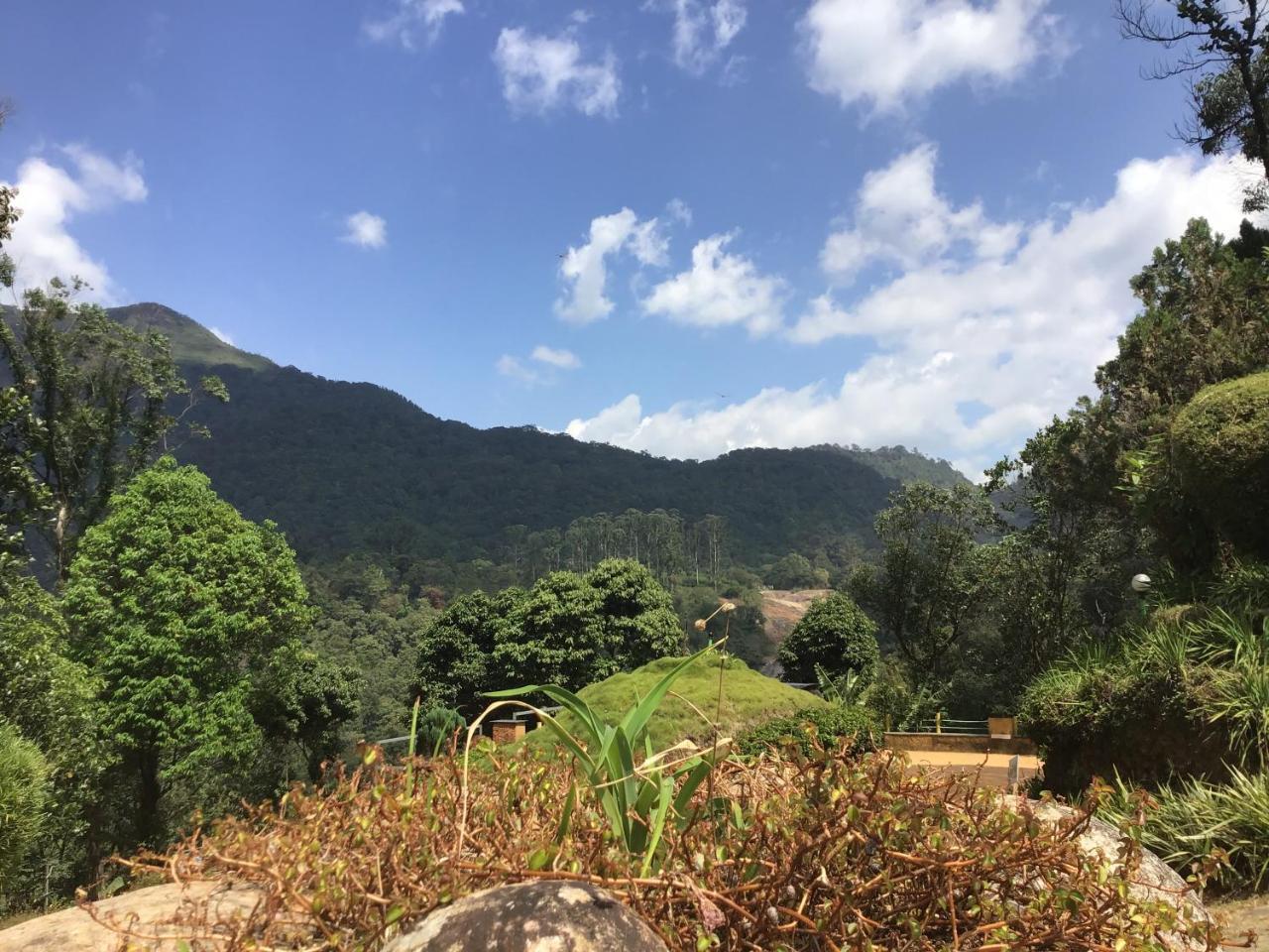 Wild Elephant Eco Friendly Resort Munnar Buitenkant foto