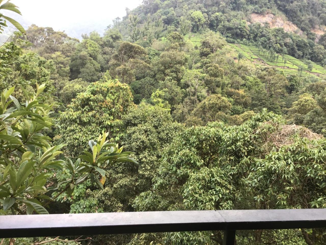 Wild Elephant Eco Friendly Resort Munnar Buitenkant foto