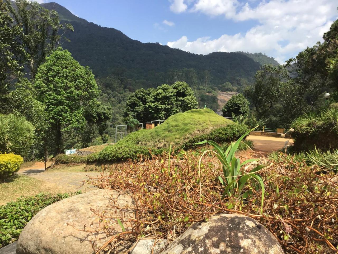 Wild Elephant Eco Friendly Resort Munnar Buitenkant foto