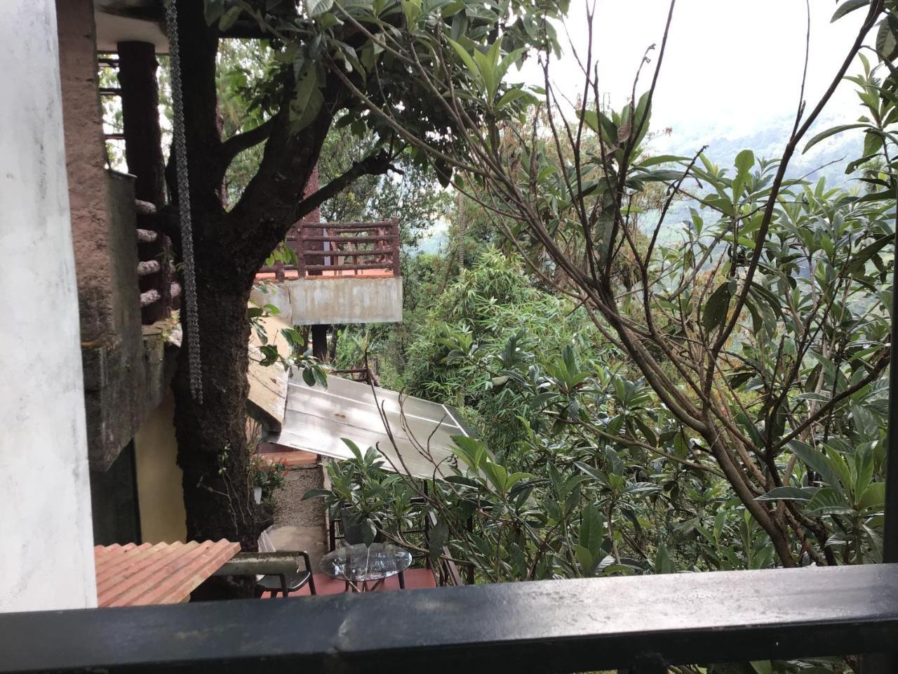 Wild Elephant Eco Friendly Resort Munnar Buitenkant foto